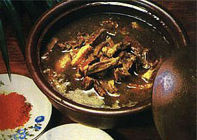 枇杷狗肉的做法