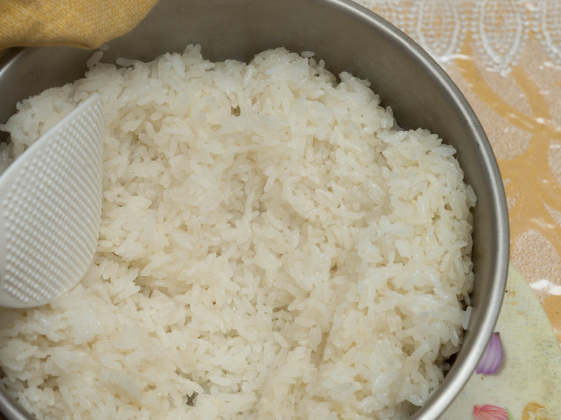 ���ӻ���ˡ� ����ף���⡻��������