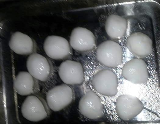 �ֹ������裨������ѧ�����������