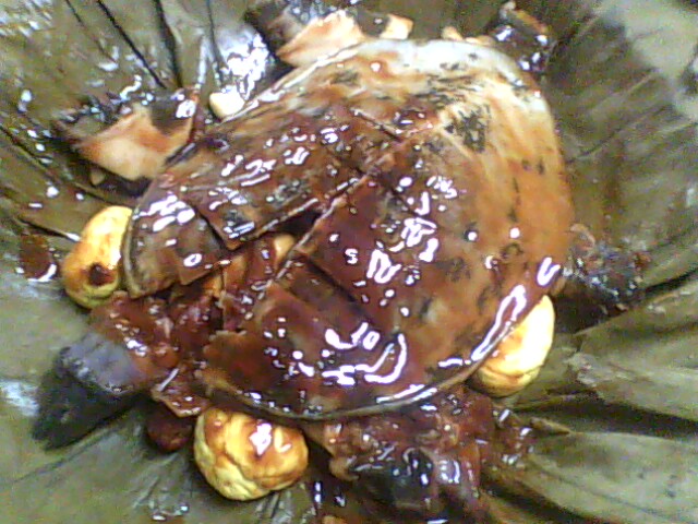 ������������