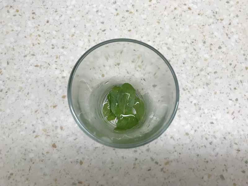 ������������ζơ�Ƶ�����