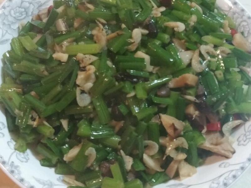 �⳴��Ӭͷ������