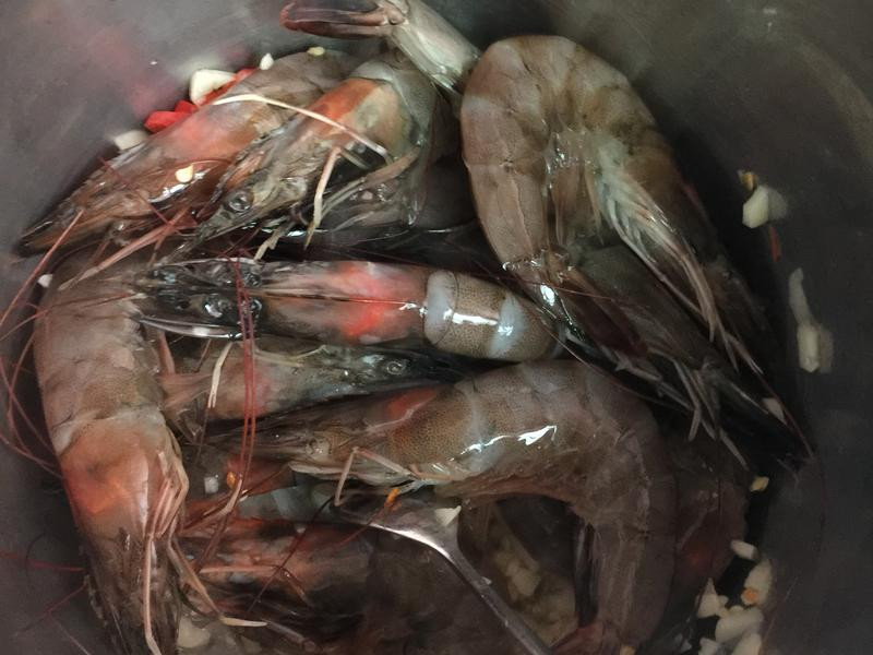 ̩ʽ��������Ϻ������