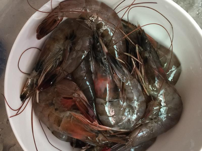 ̩ʽ��������Ϻ������