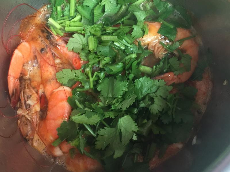 ̩ʽ��������Ϻ������