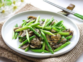 ��«��Ģ��������