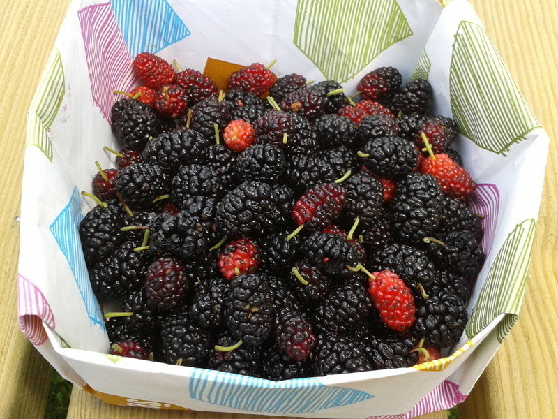 ���ƹ���5----ɣ驲�ݮ����������