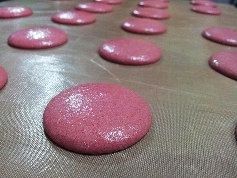 ����������������