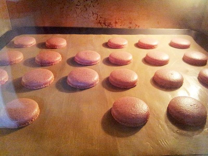 ����������������