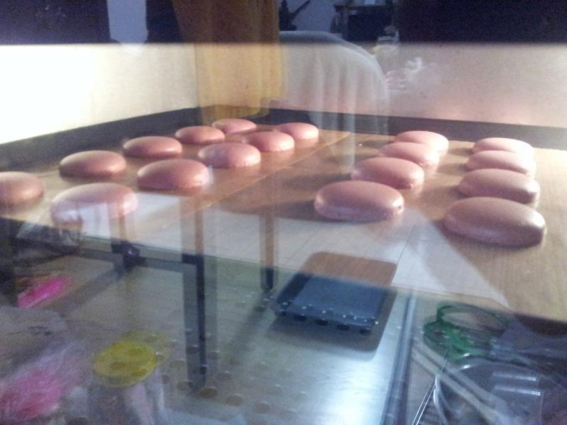 ����������������