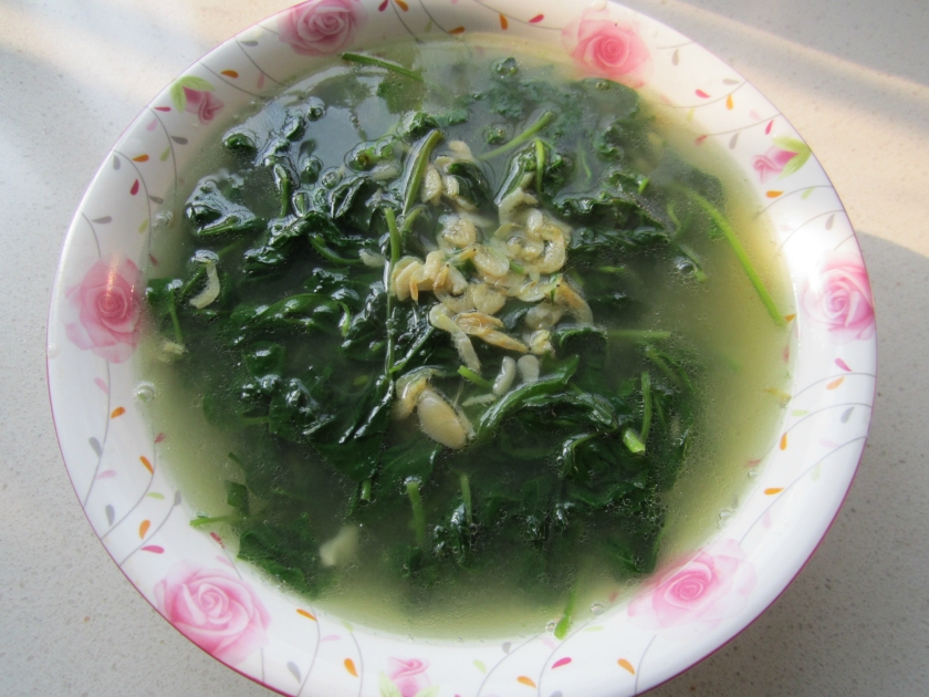 ���Ĳ�ҶϺƤ��������