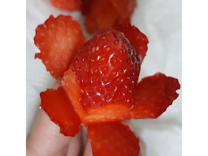 ����õ��ݮ����������