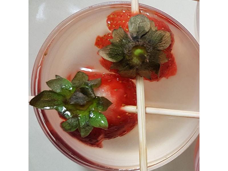 ����õ��ݮ����������