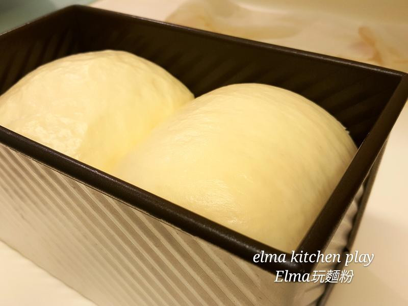 �Ÿ������˾������