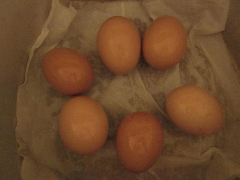 �������ĵ�-���ɹ�����������