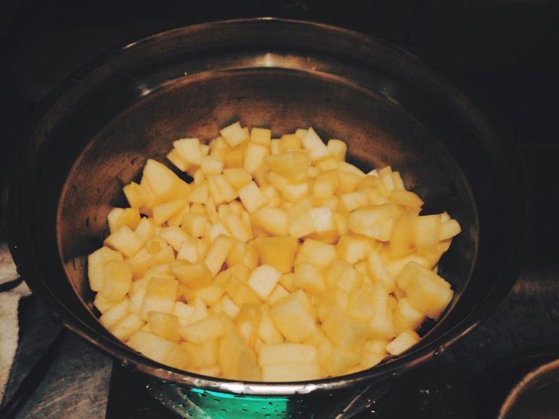 ѩ����ƻ����������