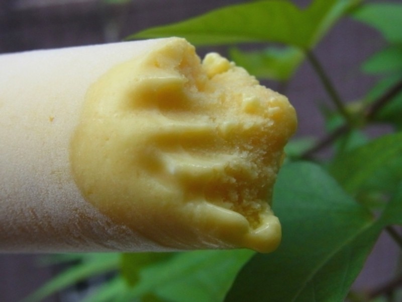 ��Ȼ���к�~DIYâ���㽶ѩ�������