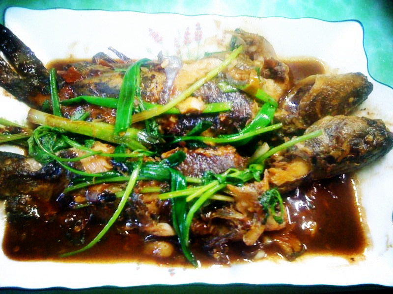 ����ƹ��������