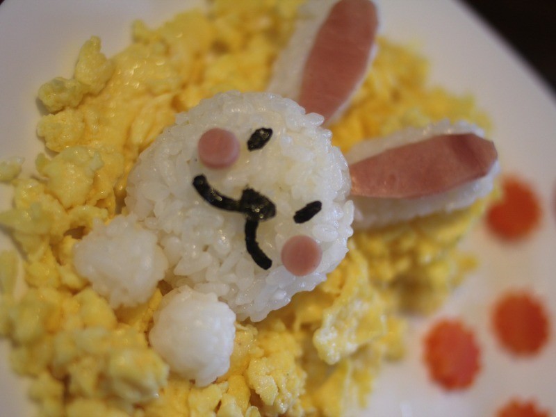 ������������͵�����