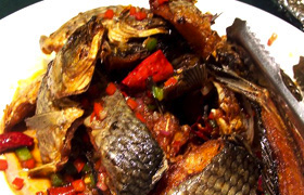 �������������