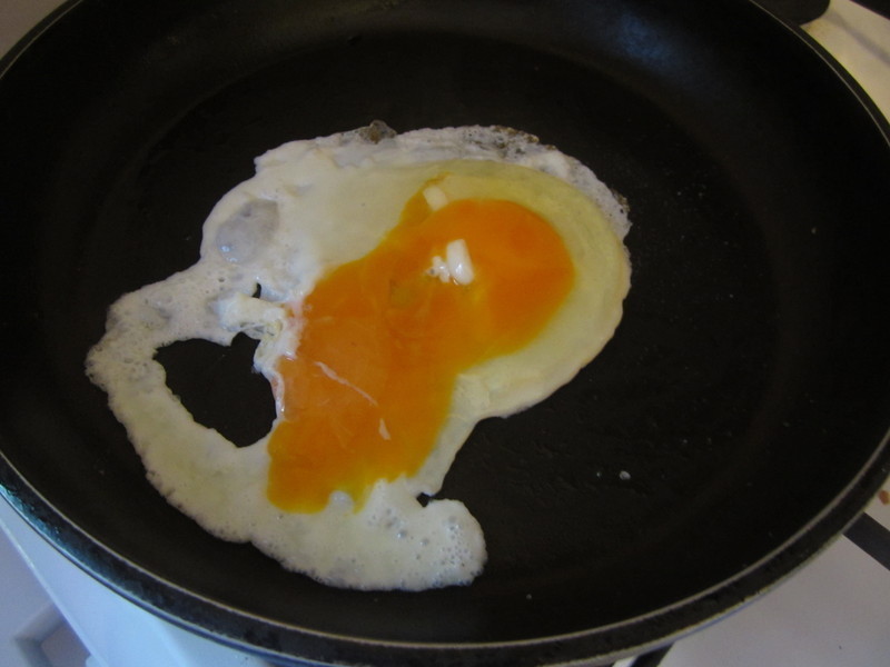 ��ʽ���͵���������