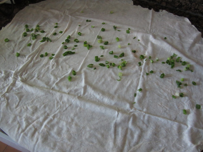 ��ʽ���͵���������