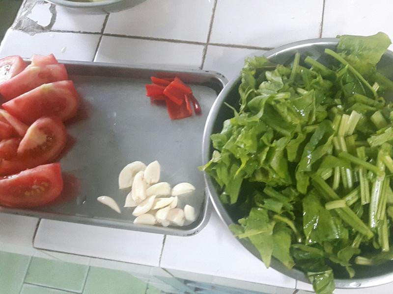 ���˳�ެ�ѵ�����