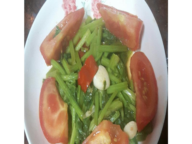 ���˳�ެ�ѵ�����