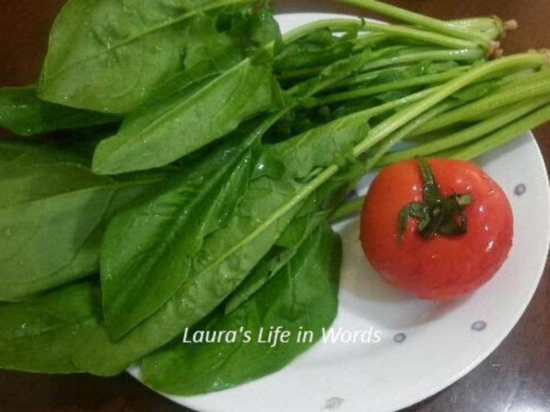 ެ�Ѳ������������