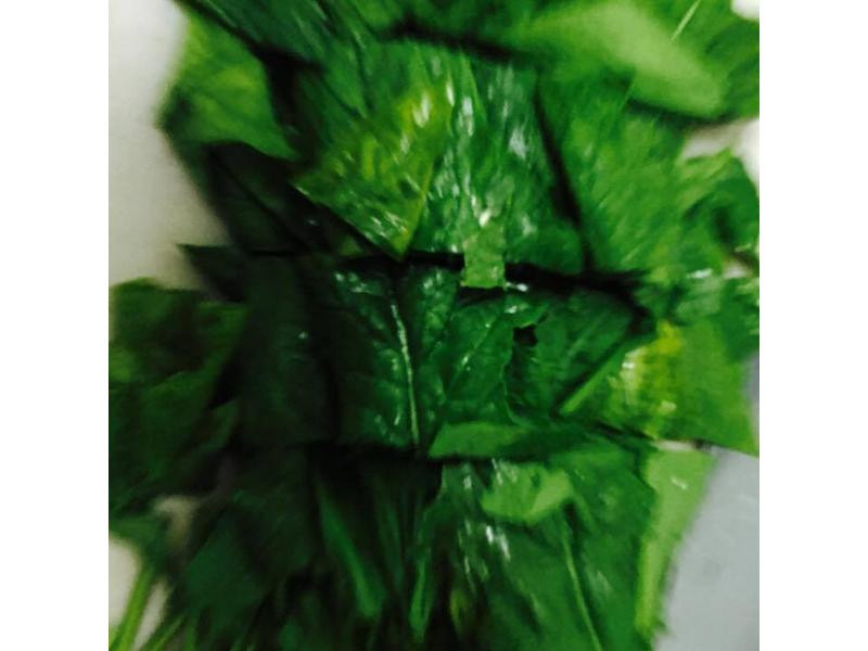 �����˵�����