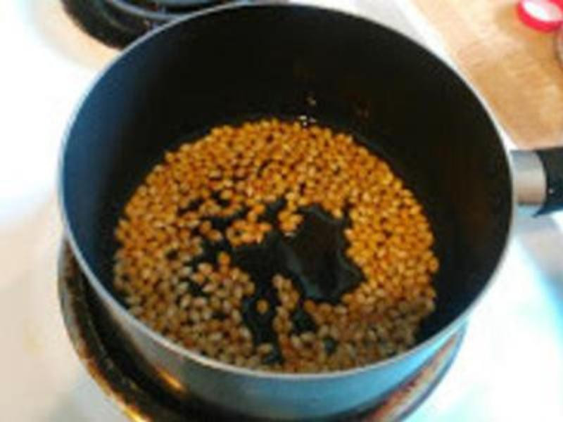 ���ƽ�����ʳ������