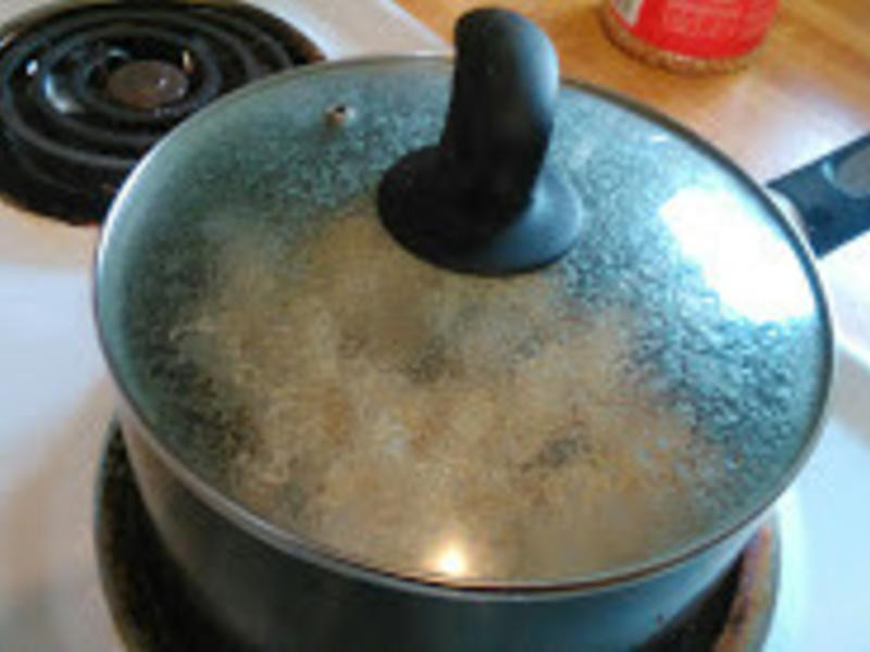 ���ƽ�����ʳ������