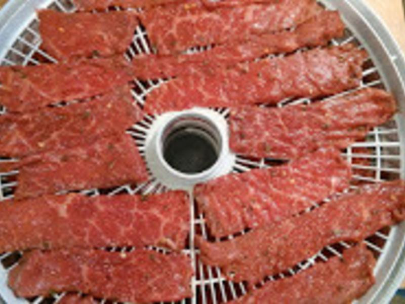 ���ƽ�����ʳ������