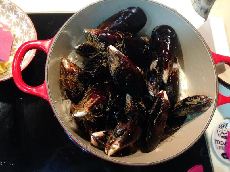 ��ʽ�������͵��˵�����