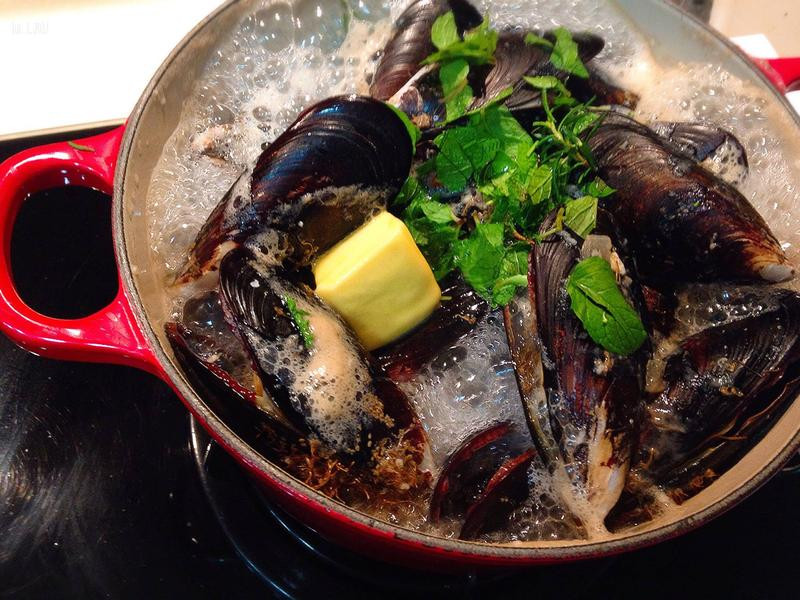 ��ʽ�������͵��˵�����