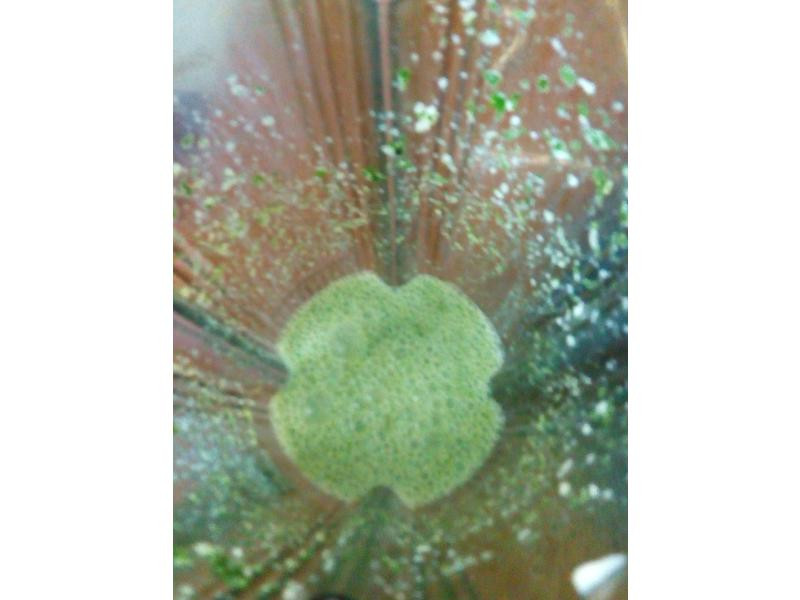 �����ུ���ߵ�����