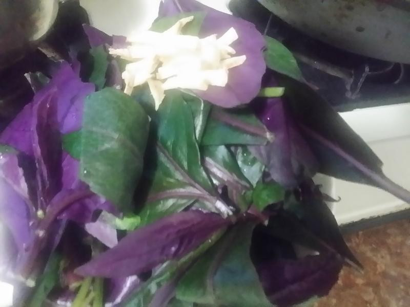 �س����˵�����