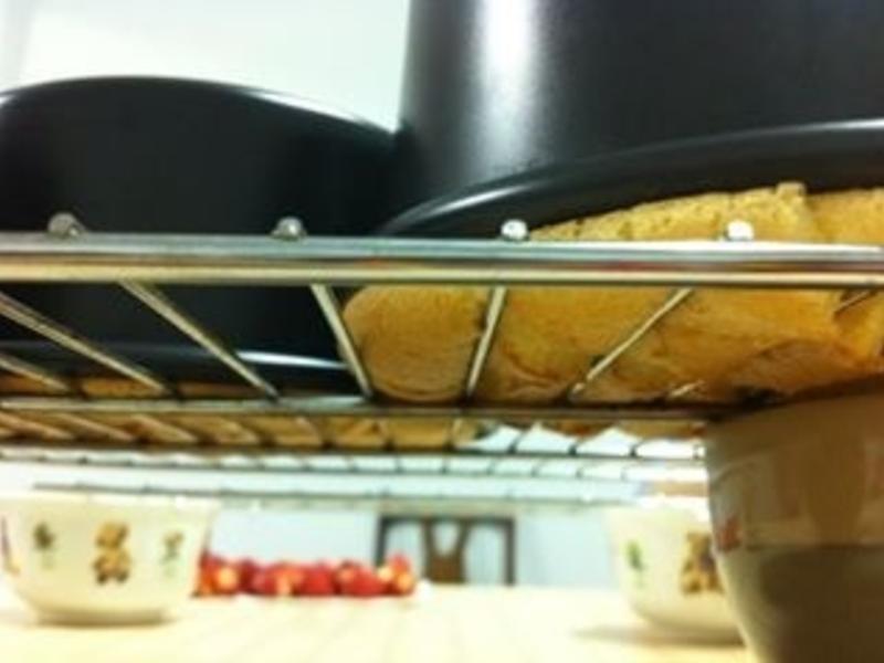 �������Ѹ�֥�鵰�������