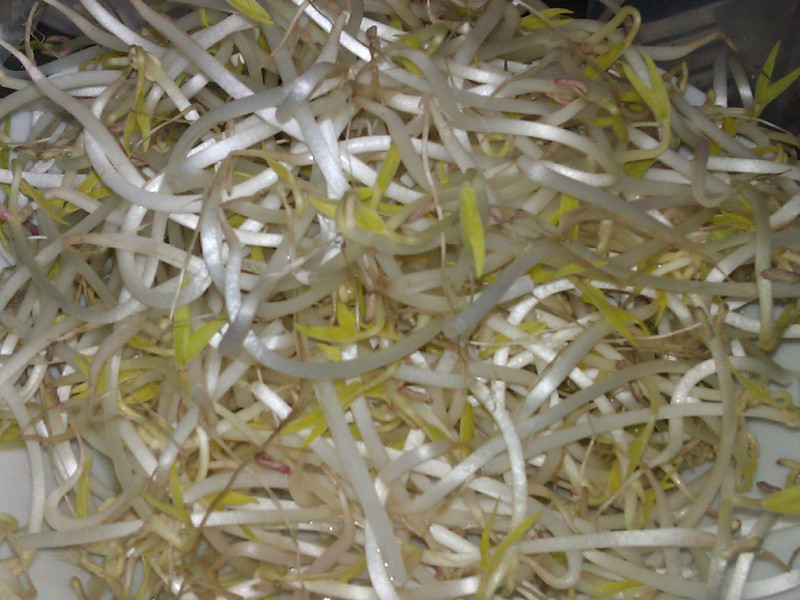 ��֭�������ܲ��ɰ賴�۶�ѿ������