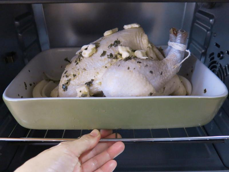 ������ݿ���������