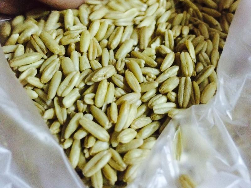 �Ϳ����������������