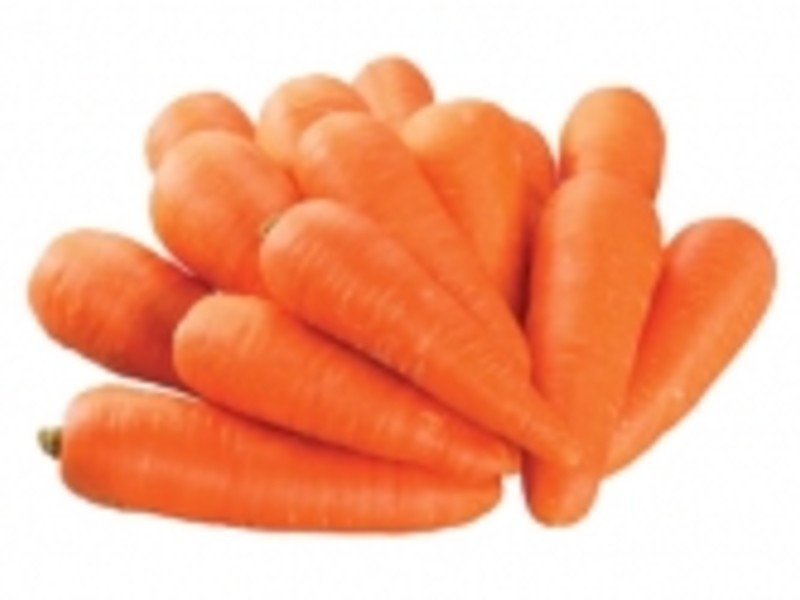 ��ʽ������������