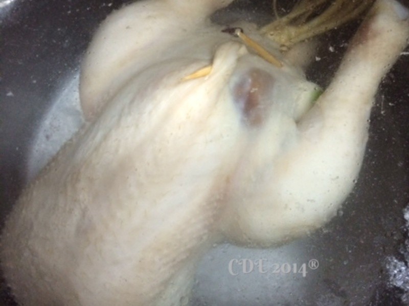 CDE����溫ʽ�μ���������