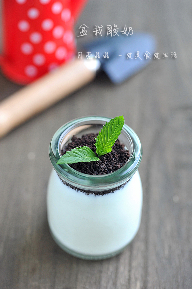 玩转烤箱之创意酸奶——盆栽酸奶的做法