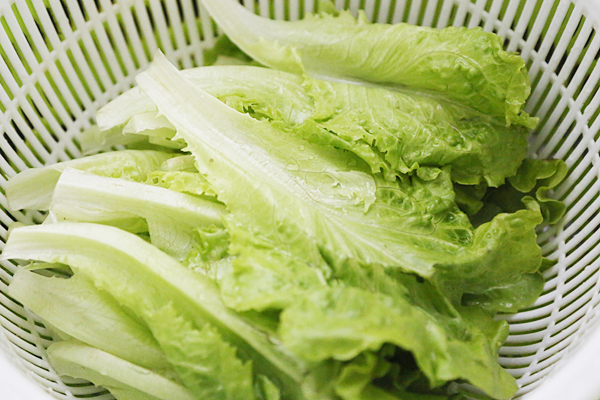 ���������������