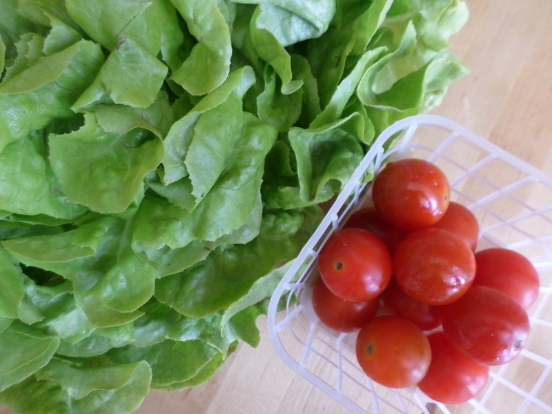 ���Ӵ����̽�������ɳ������ʢ���Ӵ����̡�������