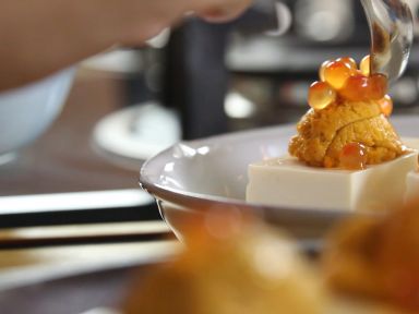 ����������������������ӵ�����