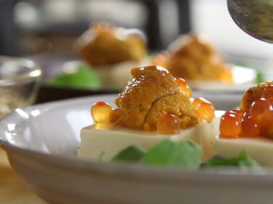 ����������������������ӵ�����