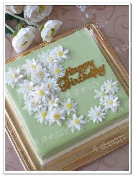 ���ɿ���Ĩ��Ľ˹������