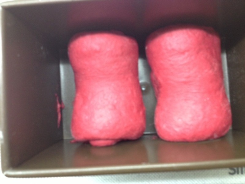 [Witi?Kitchen](�����-���)������˸���˾������